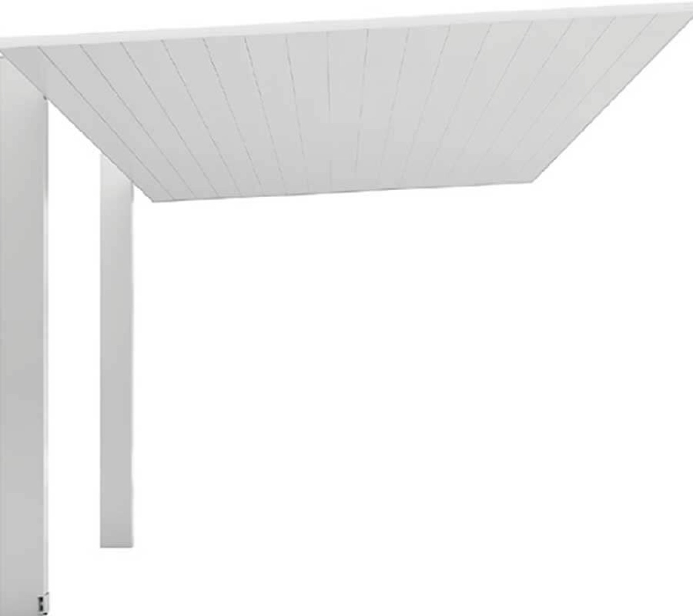 Carport — Natural Silver